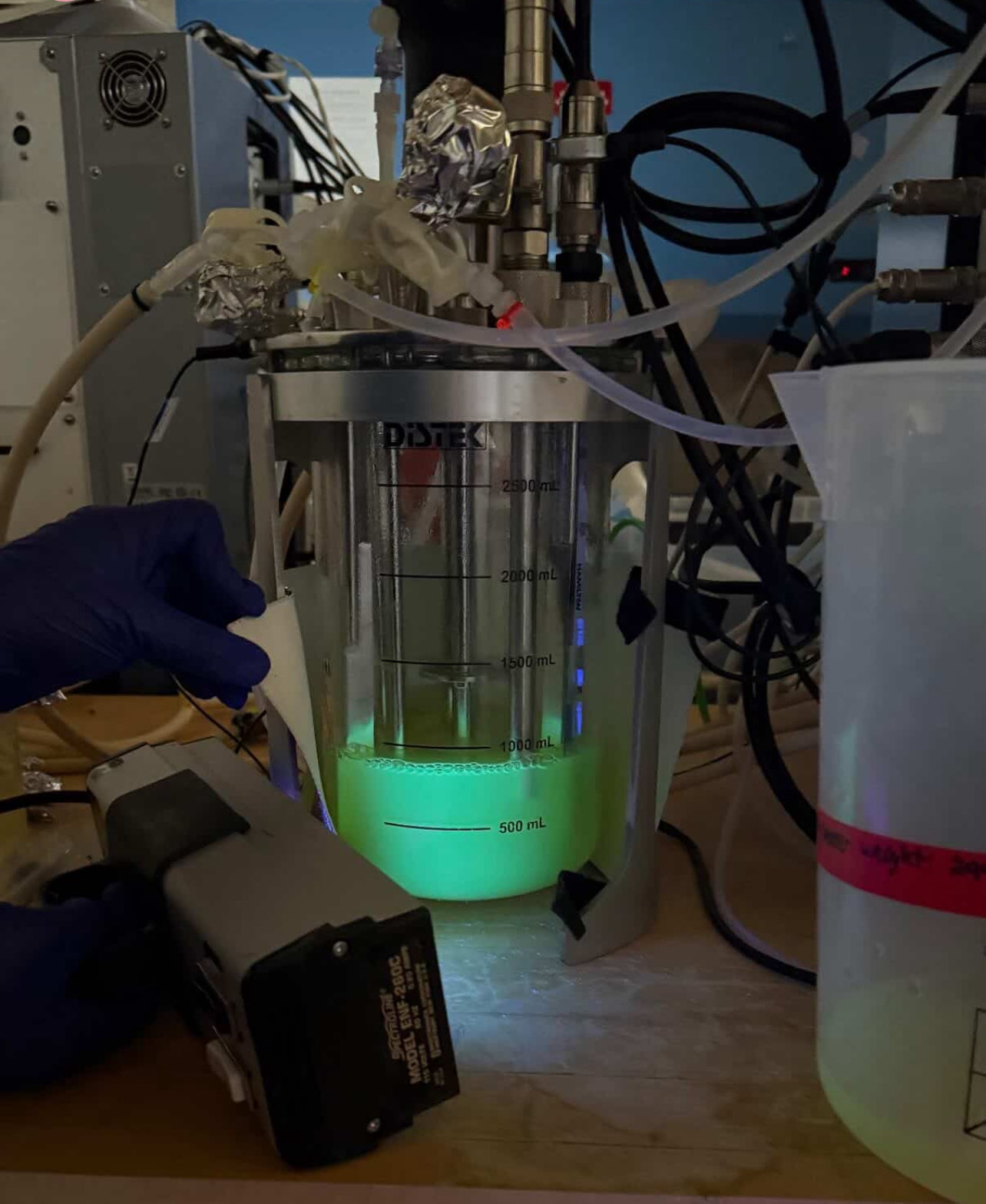 Bench-scale bioreactor growing recombinant GFP E.coli